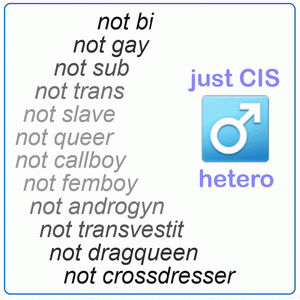 ich bin nicht schwul, trans oder femboy